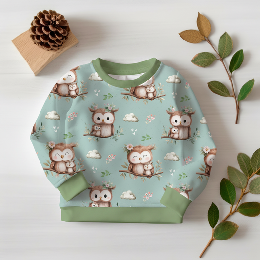 Eulen-Pullover mit mintgrünen Bündchen 1:1